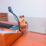 Die Maus hält ein Referat.